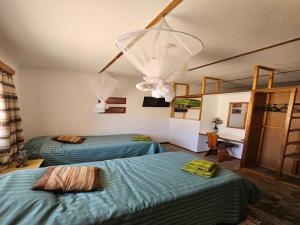 a bedroom with two beds and a chandelier at BKZ Self-Catering in Solitaire
