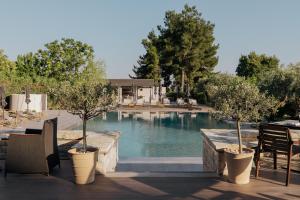 a swimming pool with trees in pots in a yard at Divani Meteora Hotel in Kalabaka