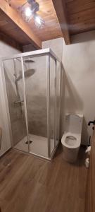 a bathroom with a shower and a toilet at A Bodega da Xesteira in Melón +8 photos