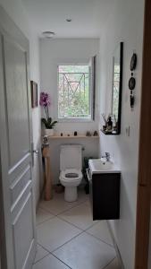 a bathroom with a toilet and a window and a sink at La Palibe in Tarnos +24 photos