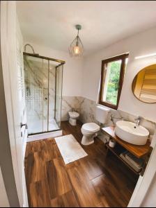 a bathroom with a sink and a toilet and a shower at Pensiunea Barsan in Vişeu de Sus