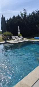 a swimming pool with chairs and a statue next to it at Gîte Maelga in Cartelègue +10 photos