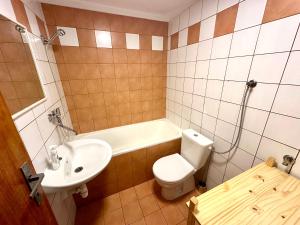 a bathroom with a sink and a toilet and a tub at Ubytko Ivko in Letohrad +21 photos