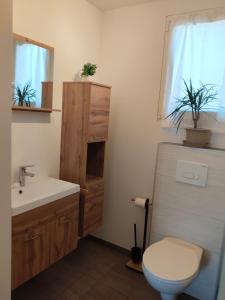a bathroom with a toilet and a sink at Haus Martha in Hörbranz