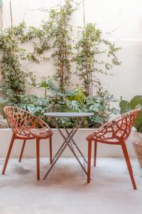 two chairs and a table in front of a plant at Flores 21 Apartments Príncipe Real in Bicas