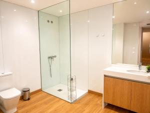 a bathroom with a shower and a toilet and a sink at Bodega Díscolo in Zamora +39 photos