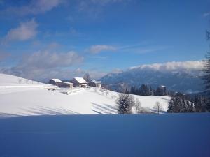 BIO-Bauernhof Kurzeck durante l'inverno
