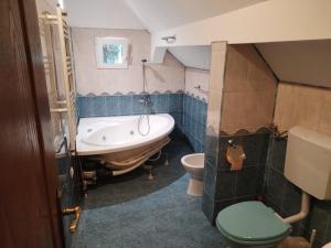 a bathroom with a tub and a toilet and a sink at Casa Sasca Montana in Sasca Montană +22 photos