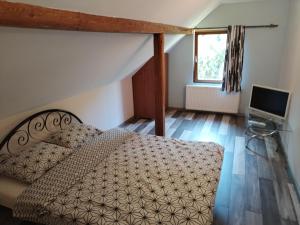 a bedroom with a bed and a television in it at Casa Sasca Montana in Sasca Montană