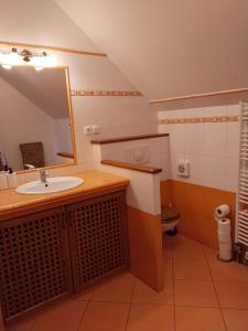 a bathroom with a sink and a mirror and a toilet at Penzion Farma Dolík in Havlíčkŭv Brod +43 photos