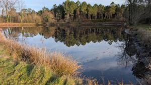 a body of water with trees in the background at Gite de la grande Ourse in Reignac
