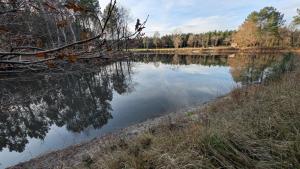 a body of water with trees in the background at Gite de la grande Ourse in Reignac