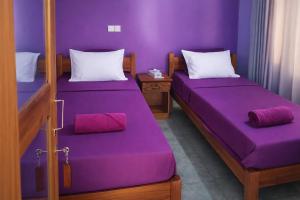 two beds in a room with purple walls at East Breeze in Arugam Bay