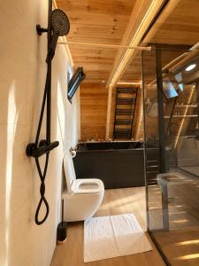 a bathroom with a toilet and a bath tub at Jugoslavija Chalet and Spa Zabljak in Tepačko Polje +11 photos