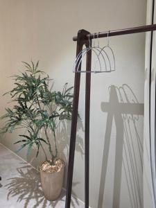 a plant in a pot next to a lamp at 목포 미유스위트 호텔 in Taeban-dong +2 photos