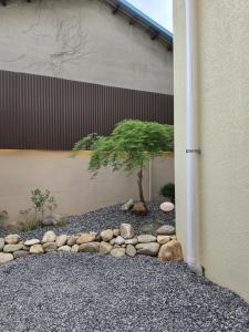 a tree in a gravel yard next to a building at 목포 미유스위트 호텔 in Taeban-dong