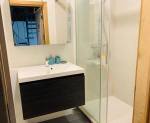 a bathroom with a sink and a shower at De Lotuspoort met Mihr's rustplek in de Abdij van Bornem in Bornem