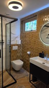a bathroom with a toilet and a sink and a mirror at Huisje Piet in Hoenderloo +12 photos