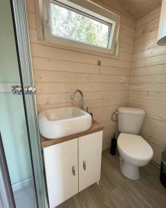 a bathroom with a sink and a toilet at Vigvam penzion in Němčice +22 photos