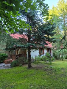 a house with a tree in front of it at Fajny Domek w Nartach in Narty