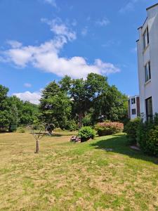 a grassy yard next to a building with a tree at Chartridge Lodge Hotel in Chesham