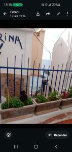 a screenshot of a page of a website with plants at Marina in Tipaza +2 photos