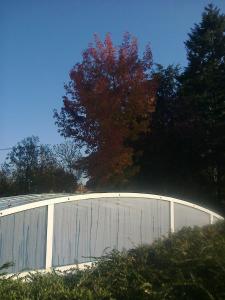 Photo de la galerie de l'établissement Les écureuils, à Tramoyes