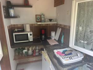 a kitchen with a counter top with a microwave at Hortensia in Carnoët