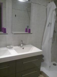 uma casa de banho com um lavatório e um chuveiro com um espelho. em Les écureuils em Tramoyes