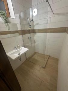 a bathroom with a sink and a shower at Csitári-patak Vendégház in Csitár +36 photos