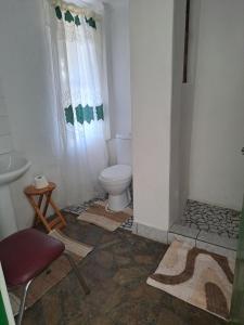 a bathroom with a toilet and a sink at Verbe Farm Accommodation in Kamieskroon