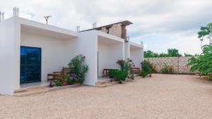 a white house with two benches and flowers at Kendwa Stay in Kendwa