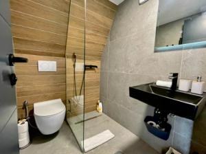 a bathroom with a toilet and a sink at Engadin Mountain Kucica in Brda +26 photos