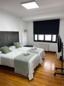 a bedroom with two beds and a television in it at Apartamentos Campus Arzúa in Arzúa