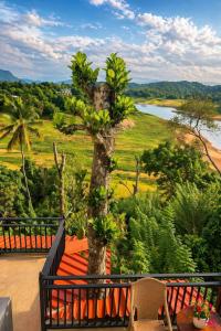 a tree on a balcony with a view of a river at The Don Dock Kandy in Kandy