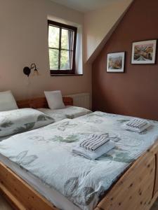 a bedroom with two beds and a window at Penzion Farma Dolík in Havlíčkŭv Brod