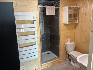 a bathroom with a shower and a toilet and a sink at Les Roses Des Bois in Murat-le-Quaire +29 photos