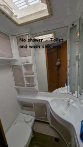 a bathroom with a sink and a toilet and a mirror at Mikael's Bed & Spa - Camping Suite in Sandefjord