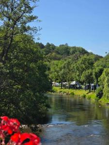 a river with red flowers in the foreground at Ardennen Karreke in Durbuy