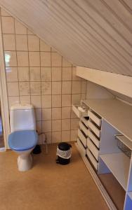 a bathroom with a blue toilet in a room at Sundqvistens basement in Emkarby +37 photos