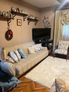 a living room with a couch and a flat screen tv at Vila Damjanka Banja Vrujci in Popadić +32 photos