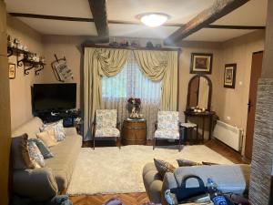 a living room with a couch and a tv at Vila Damjanka Banja Vrujci in Popadić