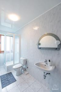 a bathroom with a toilet and a sink and a mirror at Smilciu 34 in Palanga +16 photos