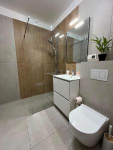 a bathroom with a toilet and a sink and a mirror at Luna Residence in Baia Mare +7 photos