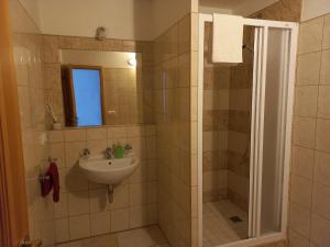 a bathroom with a sink and a shower at Penzion U Dračice in Nová Bystřice +13 photos
