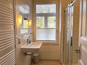 a bathroom with a sink and a window and a shower at Dahmerhof in Dahme +45 photos