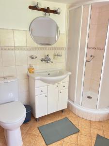 a bathroom with a toilet and a sink and a shower at Ubytování v Roubence in Modřišice +40 photos