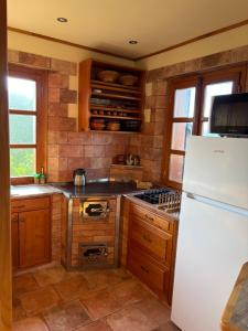 a kitchen with a white refrigerator and wooden cabinets at Cozy Winehouse - Remote Vineyard Escape in Podčetrtek +15 photos