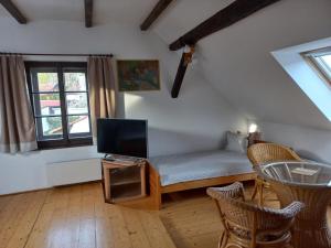 a living room with a bed and a tv at Penzion U Dračice in Nová Bystřice