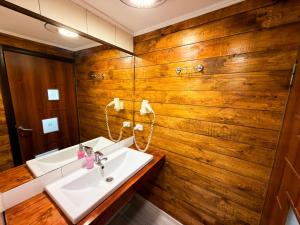 a bathroom with a sink and a wooden wall at Salo I Mandry Apartment in Rakhiv +29 photos